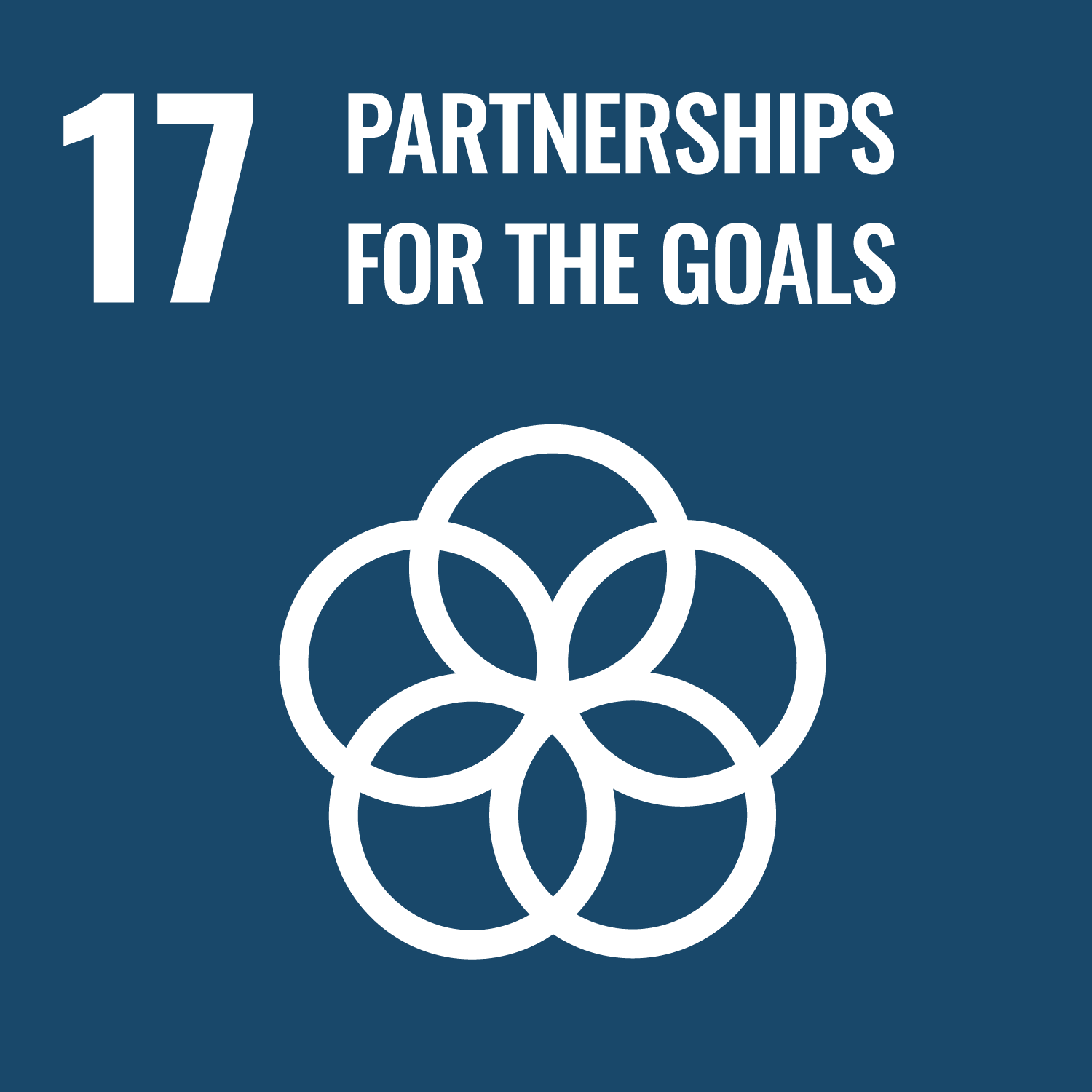 ROI-EFESO Sustainable Development Goal #17 (SDG)