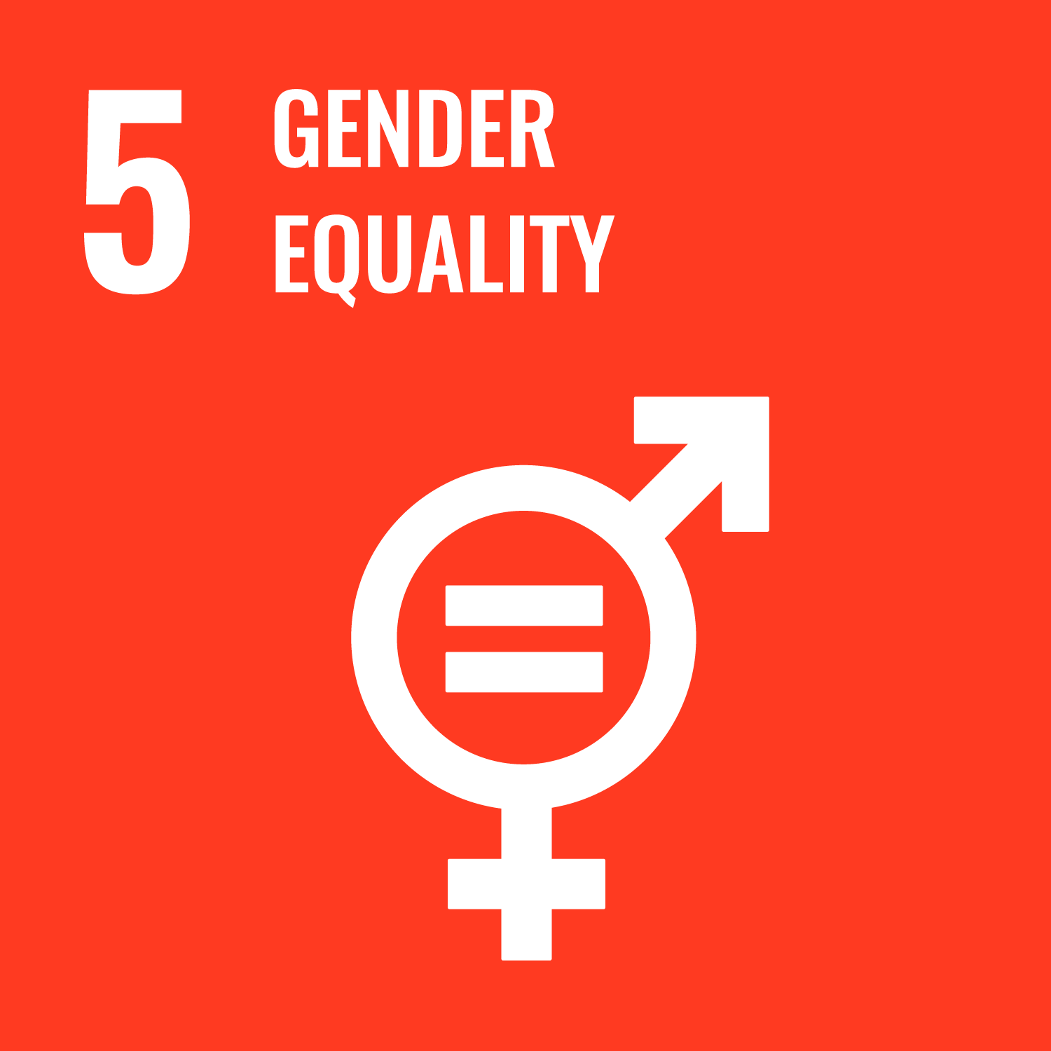 ROI-EFESO Sustainable Development Goal #5 (SDG)