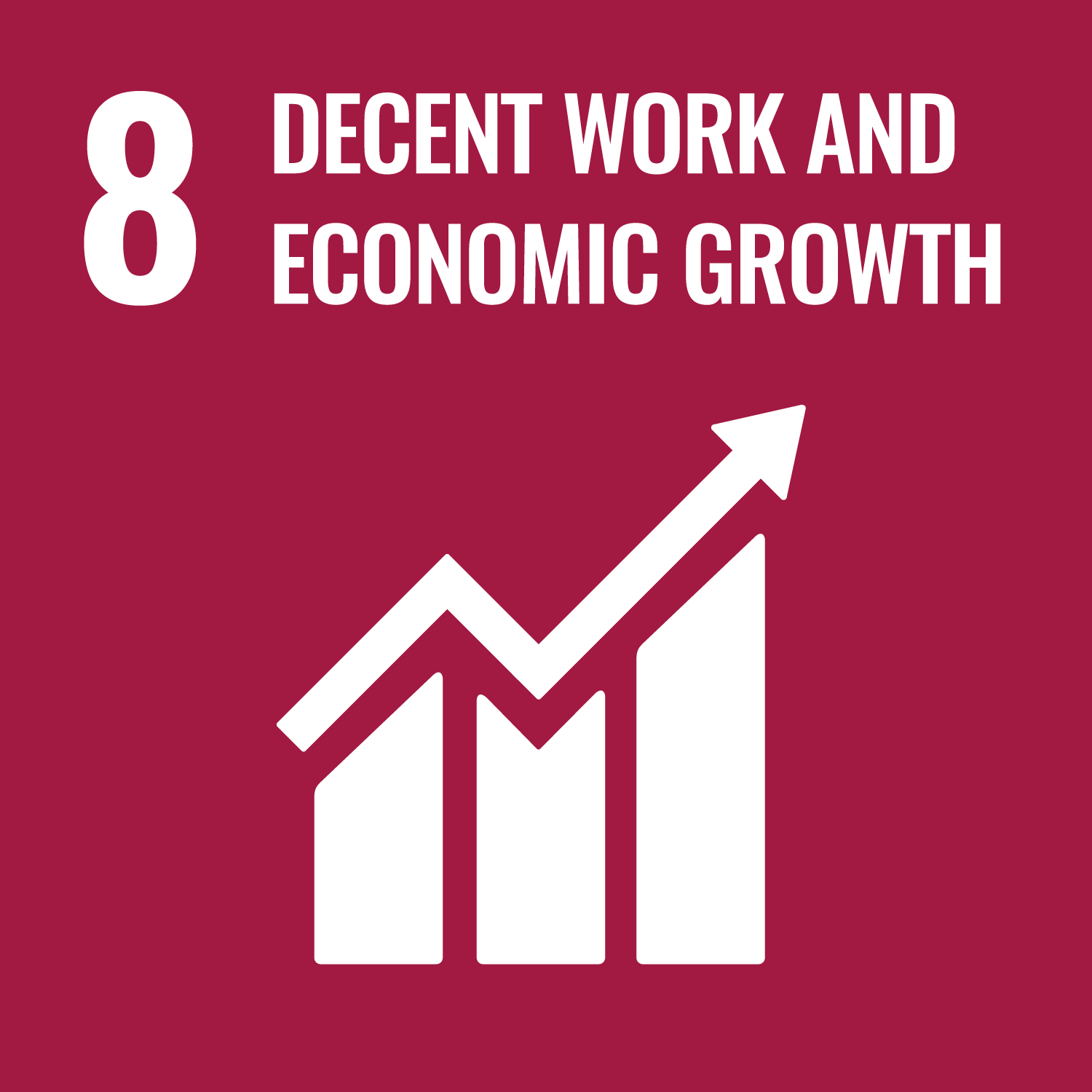 ROI-EFESO Sustainable Development Goal #8 (SDG)