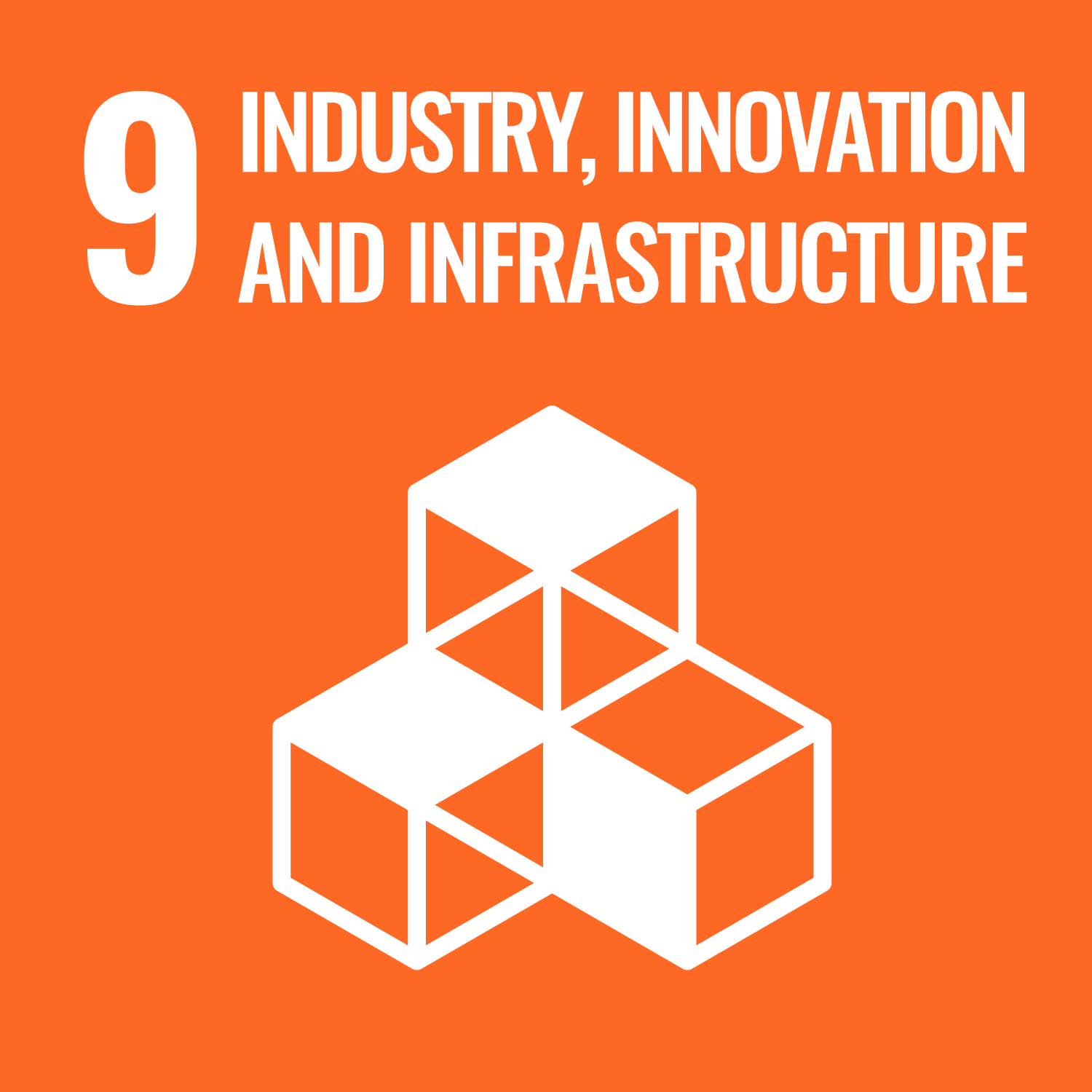 ROI-EFESO Sustainable Development Goal #9 (SDG)