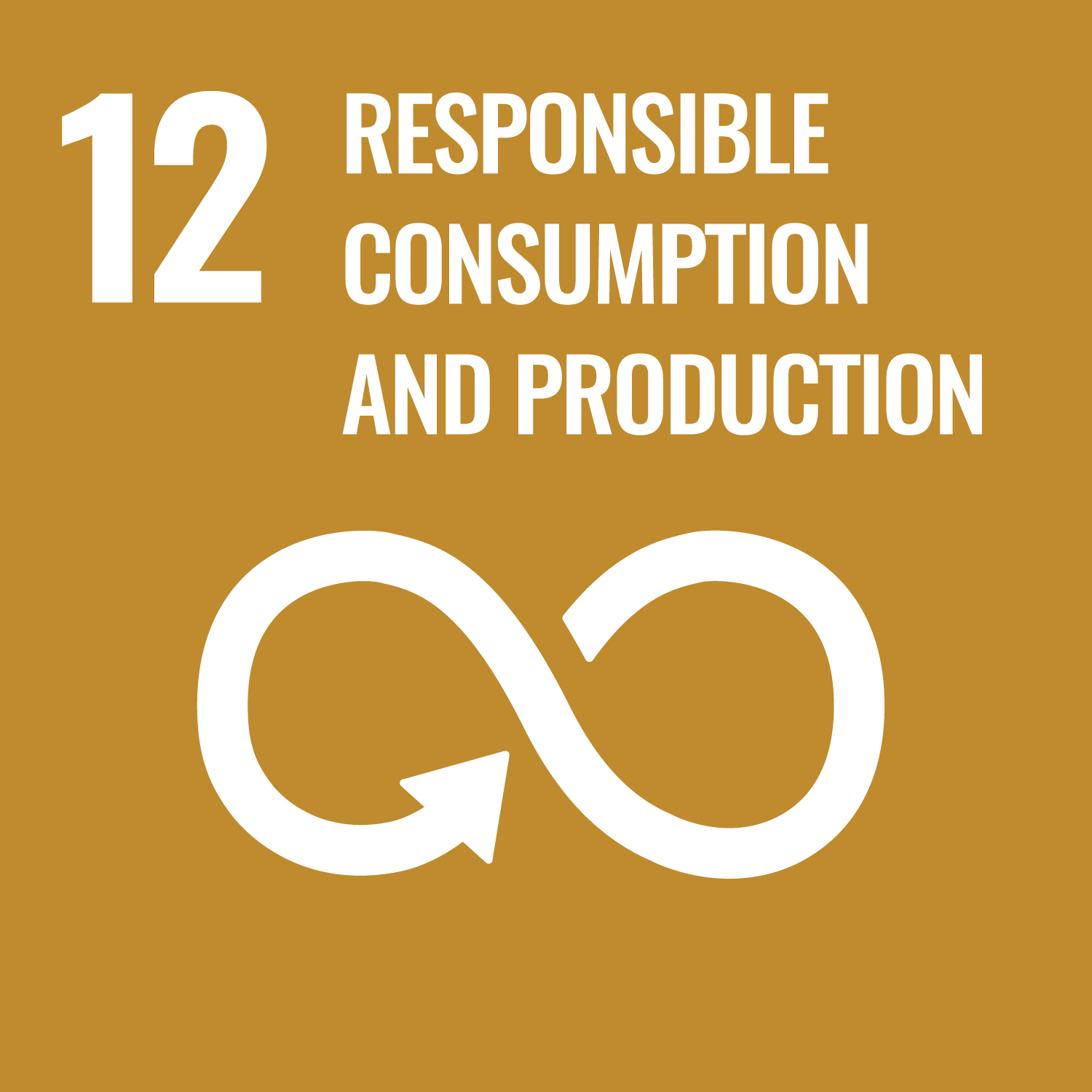 ROI-EFESO Sustainable Development Goal #12 (SDG)
