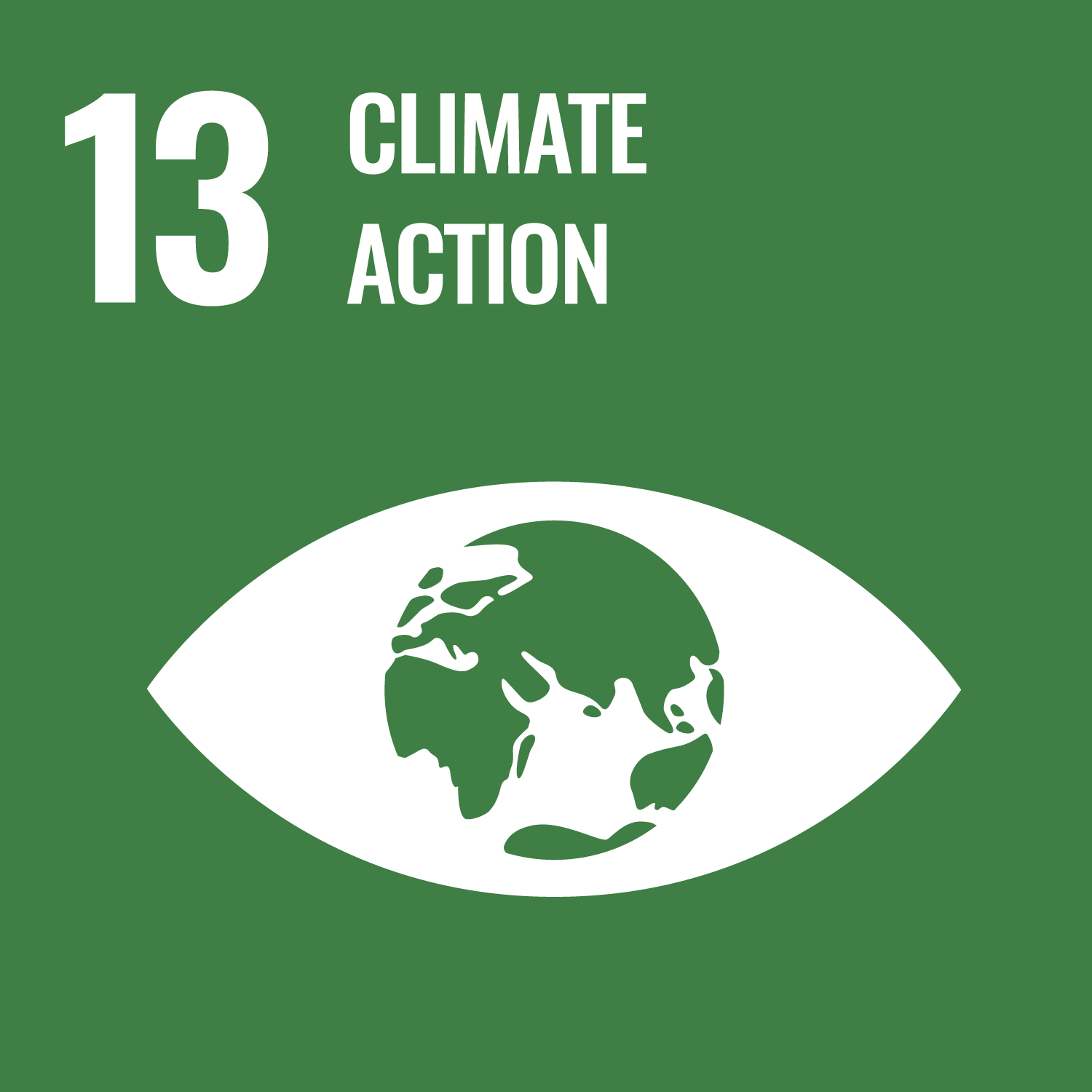 ROI-EFESO Sustainable Development Goal #13 (SDG)
